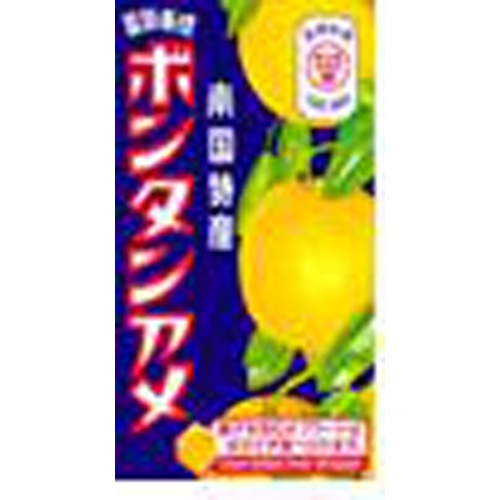 セイカ食品 ボンタンアメ １０粒 □お取り寄せ品 【購入入数１０個】