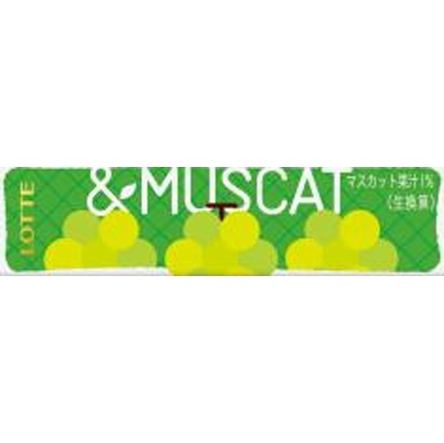 ロッテ こだわりフルーツ＆マスカット ９枚 □お取り寄せ品 【購入入数３００個】