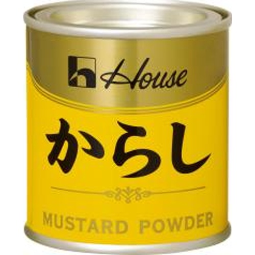 ハウス食品 からし缶入り ３５ｇ □お取り寄せ品 【購入入数１６０個】