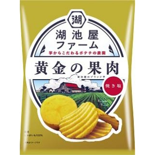 湖池屋ファーム 黄金の果肉 焼き塩 【新商品 4/7 発売】 □お取り寄せ品 【購入入数１２個】
