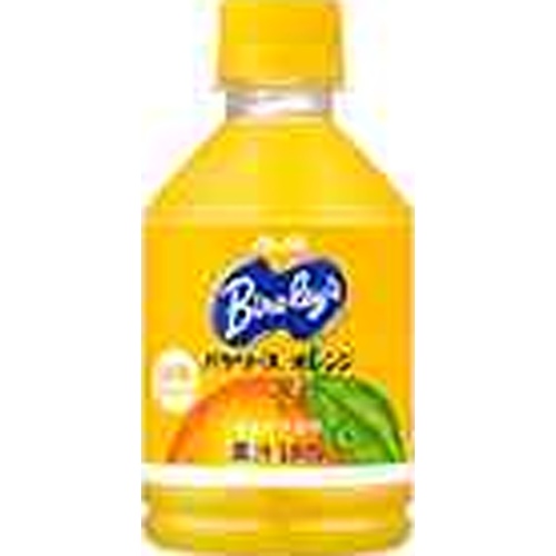 バヤリース オレンジ Ｐ２８０ｍｌ 【新商品 4/8 発売】 【今月の特売 飲料水】 □お取り寄せ品 【購入入数２４個】