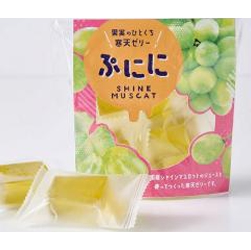 ひとくち寒天ゼリー ぷにに 国産シャインマスカット 【新商品 4/1 発売】 □お取り寄せ品 【購入入数５個】（入荷までお時間がかかります）