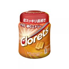 クロレッツＸＰ エナジードリンクミントボトル □お取り寄せ品 【購入入数３６個】