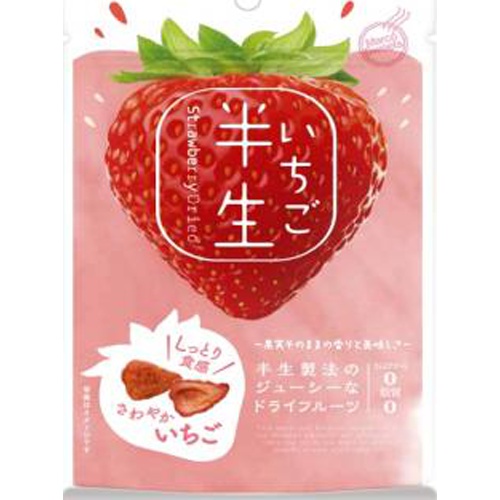 半生フルーツ いちご５０ｇ △ 【購入入数２４個】