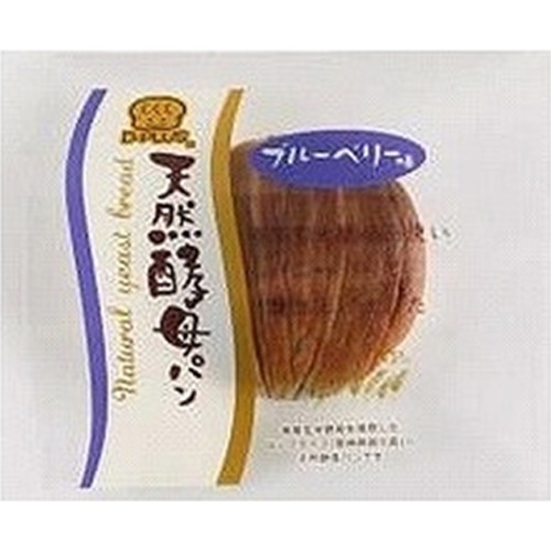 デイプラス 天然酵母パン ブルーベリー味 【今月の特売 パン・生菓子】 【購入入数１２個】
