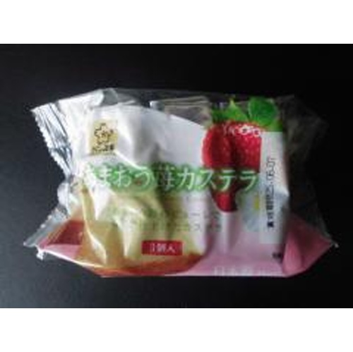 アッシュフードエンターテイメント あまおう苺カステラ ３個 △ 【購入入数１２個】