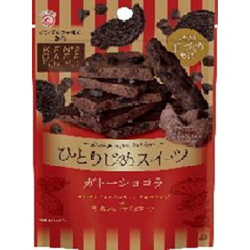 栄光堂 ひとりじめスイーツ ガトーショコラ４５ｇ □お取り寄せ品 【購入入数７２個】