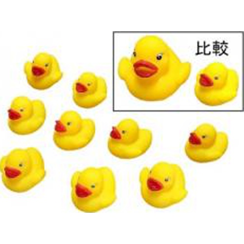イマイ ちゃぷちゃぷミニアヒル黄５０個入 【数量限定】 □お取り寄せ品 【購入入数１２個】［おもちゃ］