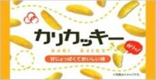 ヤマト カリカッキー ９ｇ 【新商品 8/27 発売】 □お取り寄せ品 【購入入数１２０個】