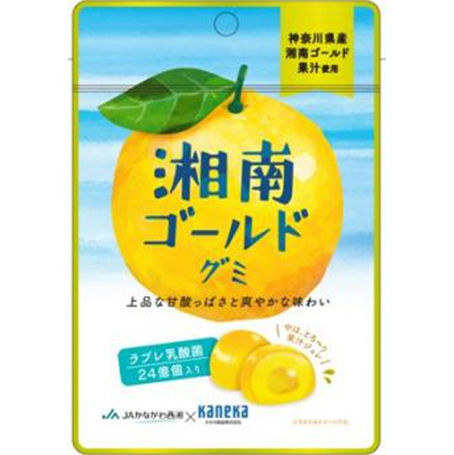 カネカ 湘南ゴールドグミ ラブレ乳酸菌入４０ｇ 【新商品 3/12 発売】  【購入入数１０個】