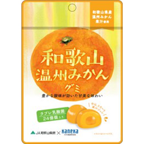 カネカ 和歌山温州みかんグミ 乳酸菌入り４０ｇ 【新商品 3/12 発売】  【購入入数１０個】