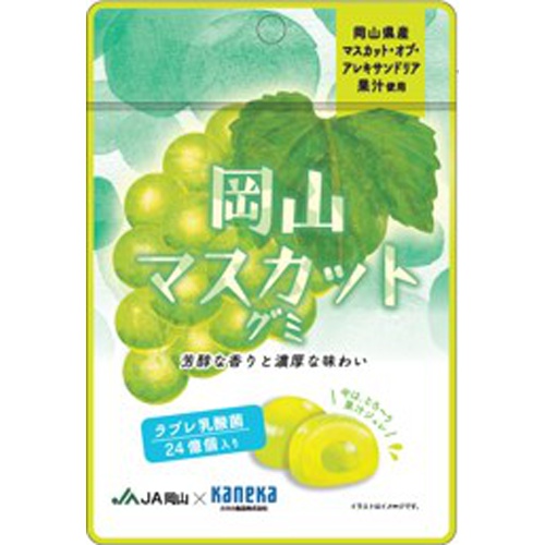 カネカ 岡山マスカットグミ ラブレ乳酸菌入４０ｇ  【購入入数１０個】