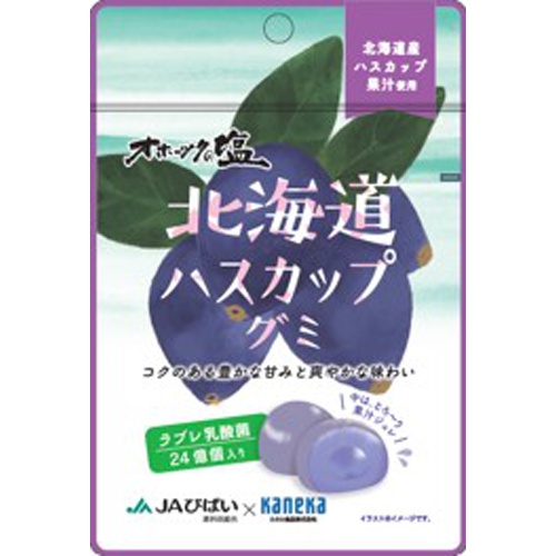 カネカ 北海道ハスカップグミ ラブレ乳酸菌入４０ｇ  【購入入数１０個】