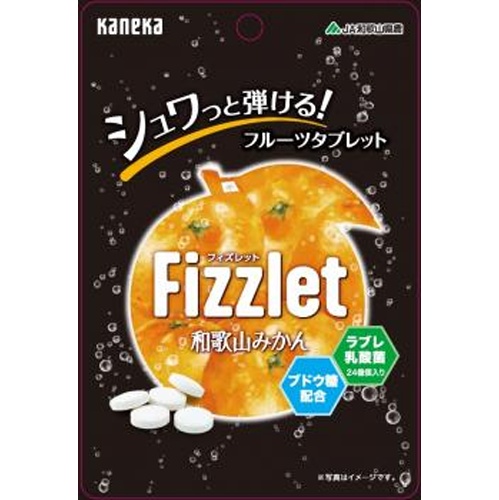 カネカ Ｆｉｚｚｌｅｔ 和歌山みかん２４ｇ 【今月の特売 菓子】 □お取り寄せ品 【購入入数１００個】