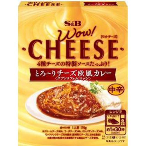 Ｓ＆Ｂ ワオチーズ とろ～りチーズ欧風カレー中辛 □お取り寄せ品 【購入入数３６個】
