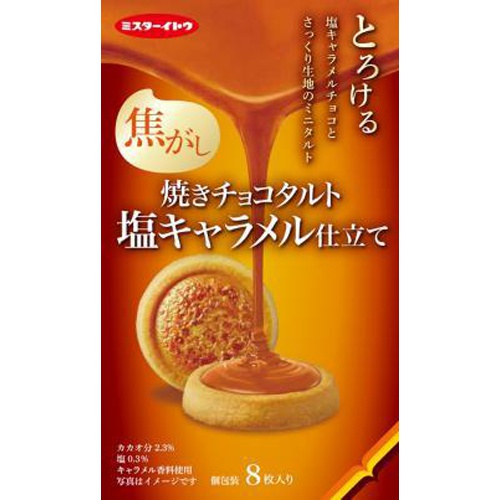 イトウ製菓 焼きチョコタルト 塩キャラメル仕立て８枚 △ 【購入入数６