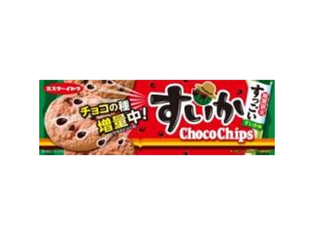 イトウ製菓 すいかチョコチップクッキー １５枚 【数量限定】  【購入入数１２個】