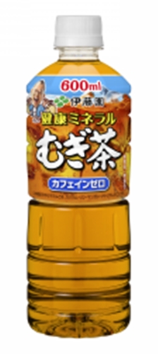 伊藤園 健康ミネラルむぎ茶 自販機用Ｐ６００ｍｌ 【今月の特売 飲料水】 △ 【購入入数２４個】