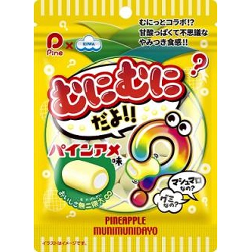 エイワ むにむにだよ パインアメ味４０ｇ □お取り寄せ品 【購入入数８個】