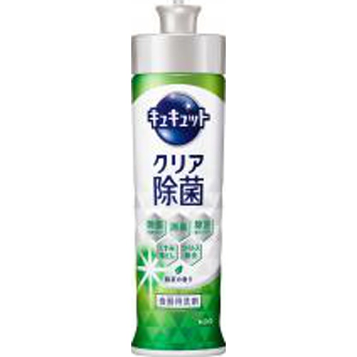 キュキュット クリア除菌 緑茶の香り 本体 □お取り寄せ品 【購入入数２４個】