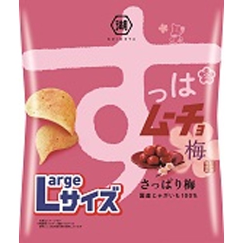 湖池屋 Ｌサイズすっぱムーチョチップス 梅１１８ｇ □お取り寄せ品 【購入入数１２個】