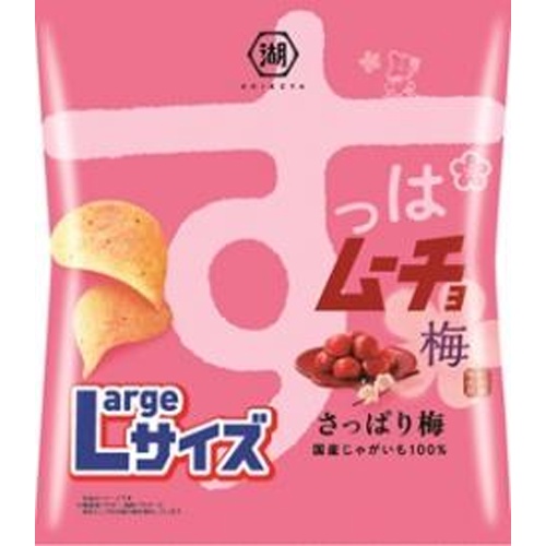 湖池屋 Ｌサイズすっぱムーチョさっぱり梅１０８ｇ 【新商品 7/21 発売】 □お取り寄せ品 【購入入数１２個】