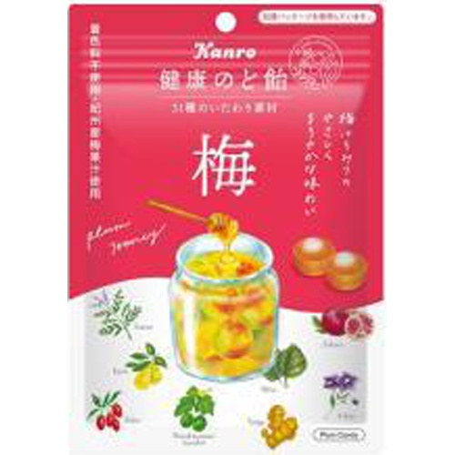 カンロ 健康のど飴梅 ９０ｇ 【今月の特売 菓子】 △ 【購入入数６個】