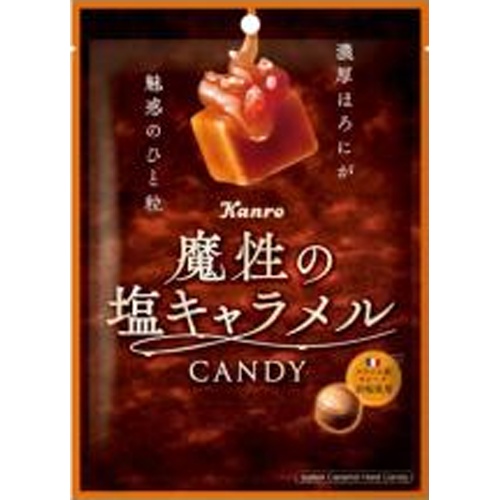 カンロ 魔性の塩キャラメルキャンディ ６５ｇ △ 【購入入数４８個】