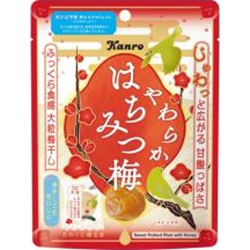 カンロ やわらかはちみつ梅 ４０ｇ 【新商品 6/2 発売】 □お取り寄せ品 【購入入数７２個】