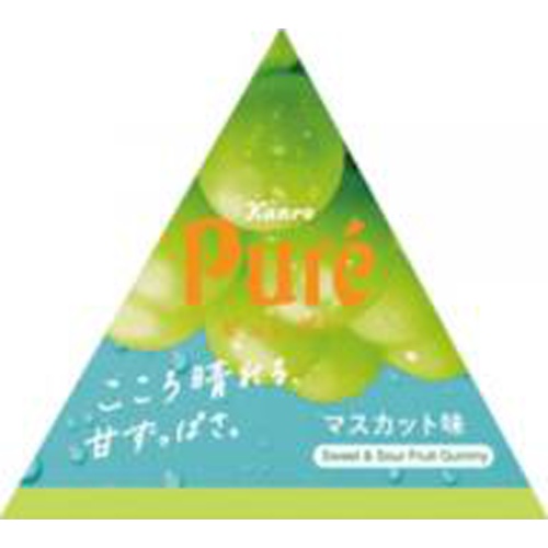 カンロ ピュレグミプチ三角 マスカット１３ｇ △ 【購入入数２４個】