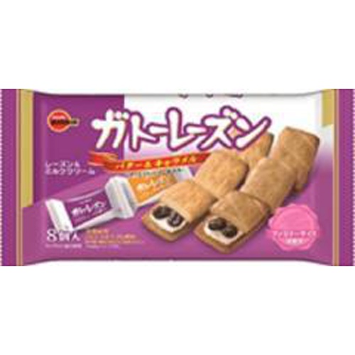 ブルボン ガトーレーズンＦＳ ８個 △ 【購入入数１２個】