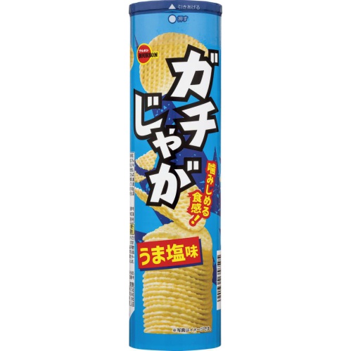 ブルボン ガチじゃが うま塩味１００ｇ □お取り寄せ品 【購入入数４０個】
