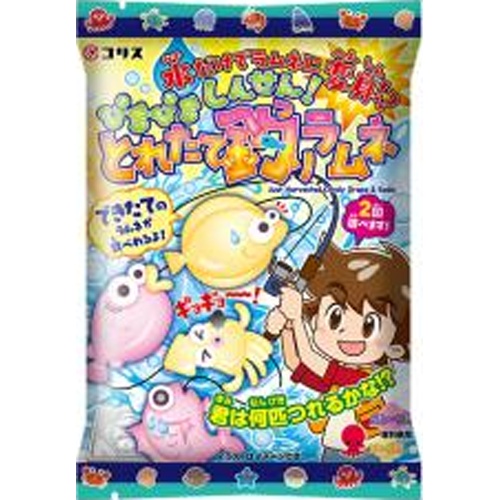 コリス とれたて釣りラムネ 【新商品 3/18 発売】 □お取り寄せ品 【購入入数１４４個】