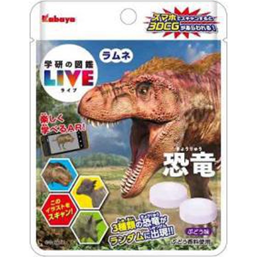 業務用菓子問屋GGxカバヤ食品 １００Ｇ タフグミレモンラッシュ×144個