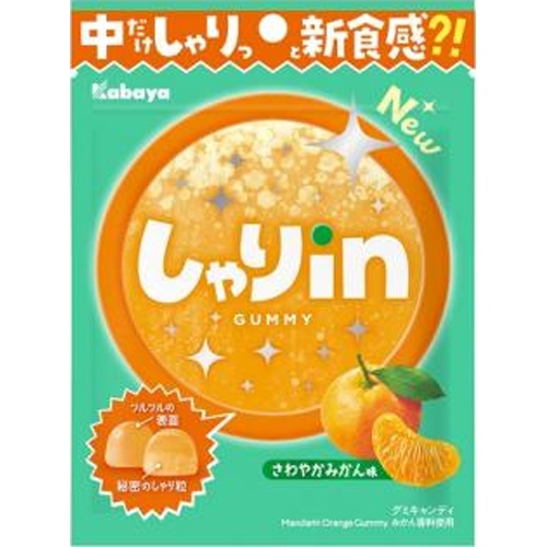 カバヤ しゃりｉｎグミみかん ５２ｇ 【新商品 8/26 発売】 □お取り寄せ品 【購入入数１２０個】
