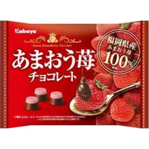 カバヤ あまおう苺チョコレート１２２ｇ 【今月の特売 菓子】 △ 【購入入数１８個】