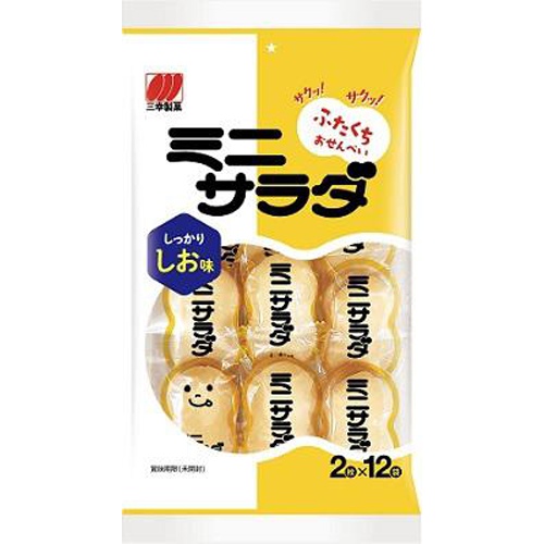 三幸製菓 ミニサラダ しお味６１ｇ □お取り寄せ品 【購入入数１６個】