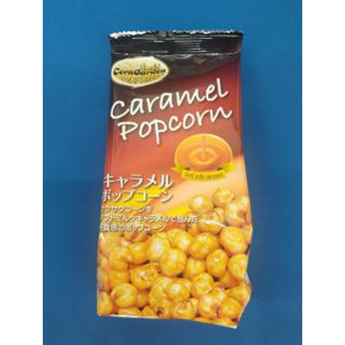坂金 キャラメルポップコーン ４５ｇ □お取り寄せ品 【購入入数２４個】