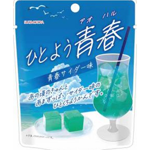 杉本屋 ひとようアオハル 青春サイダー味８０ｇ △ 【購入入数１０個】