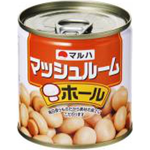 マルハ マッシュルーム ホール１８５ｇ 【今月の特売 ビン・缶詰】 □お取り寄せ品 【購入入数４８個】