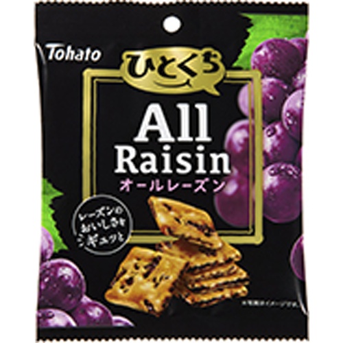 東ハト ひとくちオールレーズン５１ｇ □お取り寄せ品 【購入入数１２個】