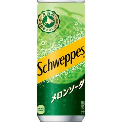 シュウェップス メロンソーダ 缶２５０ｍｌ 【新商品 4/1 発売】 【今月の特売 飲料水】 △ 【購入入数３０個】