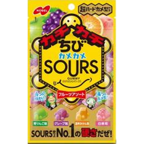 ノーベル カチカチちびカメサワーズフルーツアソート  【購入入数６個】