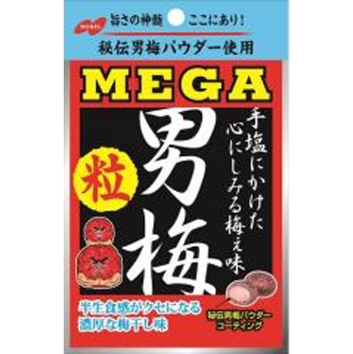 ノーベル メガ男梅粒 ３６ｇ □お取り寄せ品 【購入入数７２個】