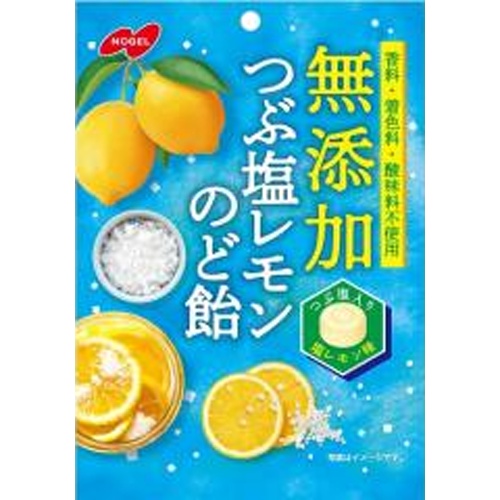 ノーベル 無添加つぶ塩レモンのど飴 ９０ｇ 【新商品 3/24 発売】 □お取り寄せ品 【購入入数４８個】