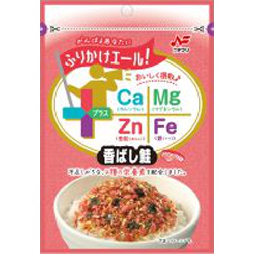 ニチフリ ふりかけエール 香ばし鮭２２ｇ □お取り寄せ品 【購入入数６０個】（入荷までお時間がかかります）
