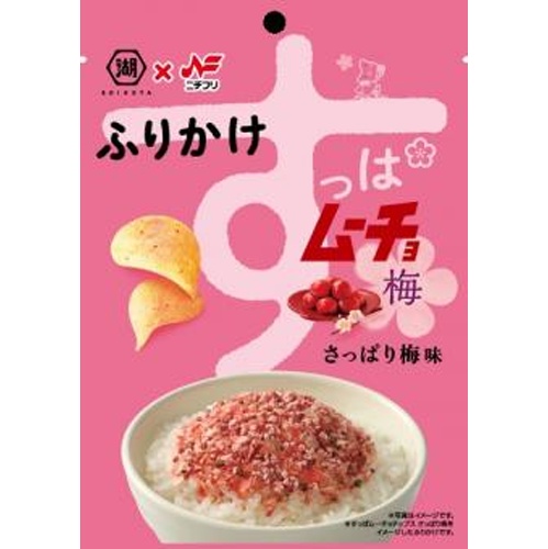 ニチフリ すっぱムーチョふりかけ２０ｇ □お取り寄せ品 【購入入数６０個】（入荷までお時間がかかります）