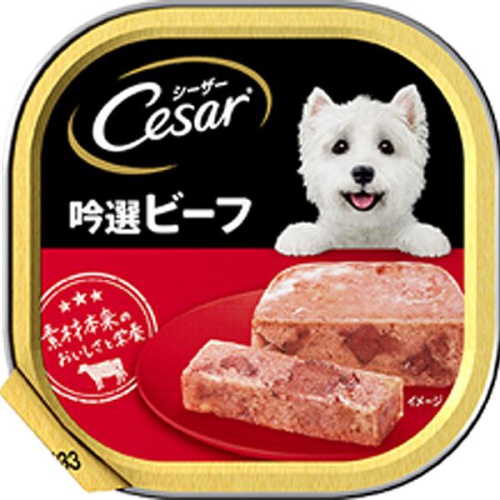シーザー ビーフ １００ｇ □お取り寄せ品 【購入入数９６個】