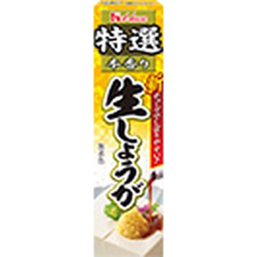 ハウス食品 特選生しょうが ４０ｇ 【今月の特売 調味料】 □お取り寄せ品 【購入入数１２０個】