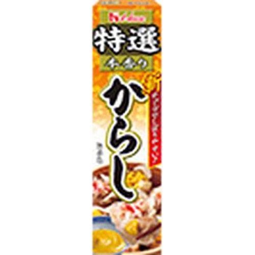 ハウス食品 特選からし ４２ｇ 【今月の特売 調味料】 □お取り寄せ品 【購入入数１２０個】